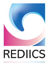 Red Iberoamericana de Investigación Cualitativa en Salud | Rede Ibero-Americana de Pesquisa Qualitativa em Saúde